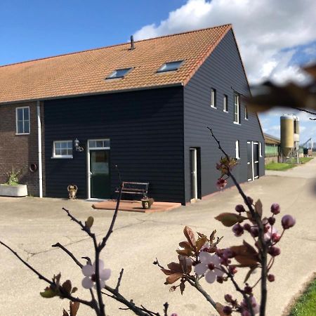 Appartement De Graanzolder Aan Zeeuwse Kust Hoofdplaat Exterior foto