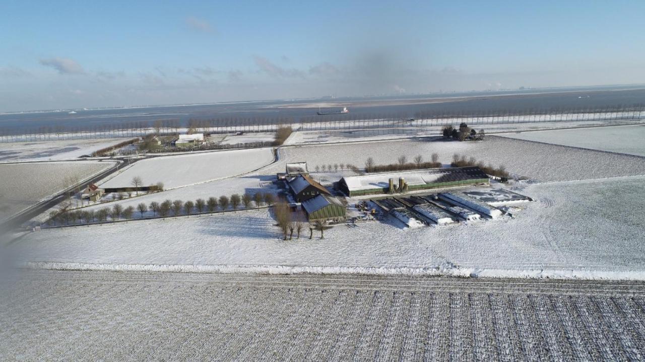 Appartement De Graanzolder Aan Zeeuwse Kust Hoofdplaat Exterior foto
