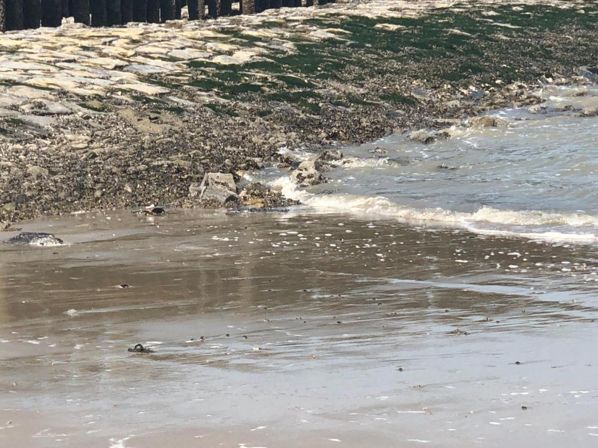 Appartement De Graanzolder Aan Zeeuwse Kust Hoofdplaat Exterior foto