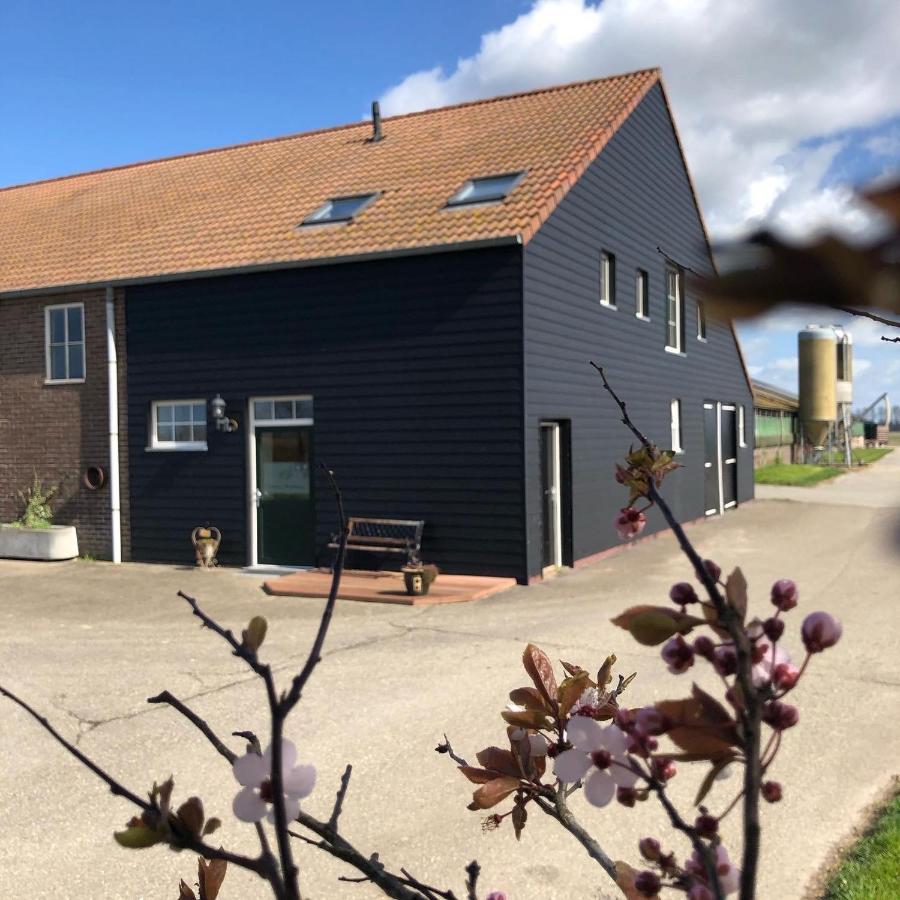Appartement De Graanzolder Aan Zeeuwse Kust Hoofdplaat Exterior foto